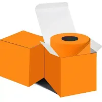 Toilet Roll Gift Set in Orange